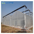 multi-span film greenhouse with hydroponic system